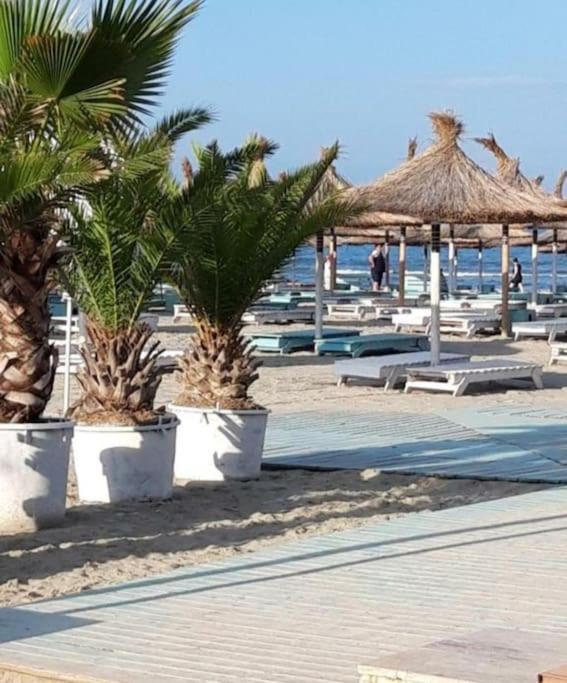 Alezzy Beach Apartament Prima Linie La Mare Năvodari 외부 사진