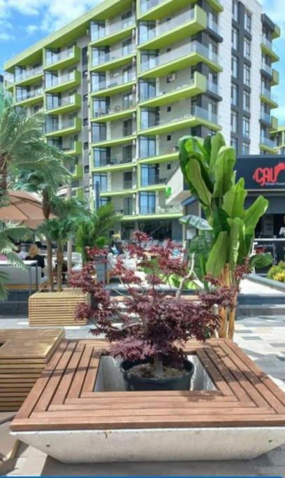 Alezzy Beach Apartament Prima Linie La Mare Năvodari 외부 사진